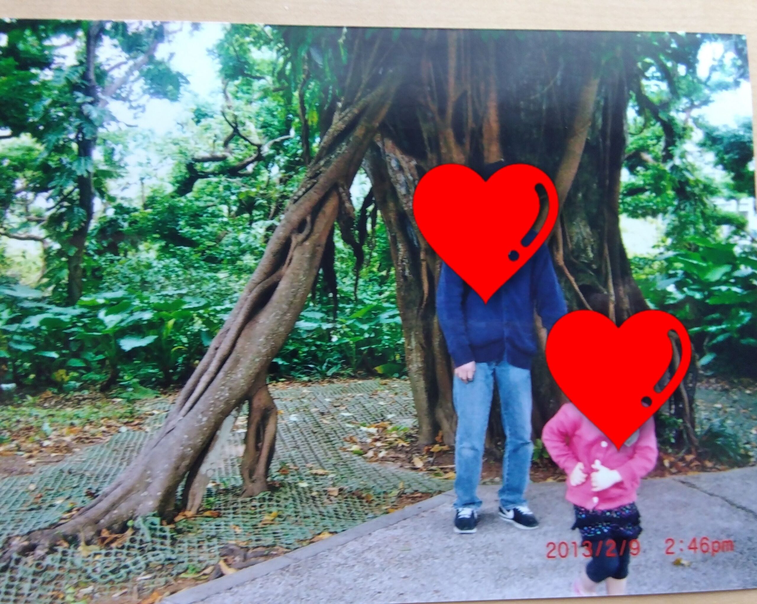 首里城公園近くの大きなガジュマルの木の前で家族写真
