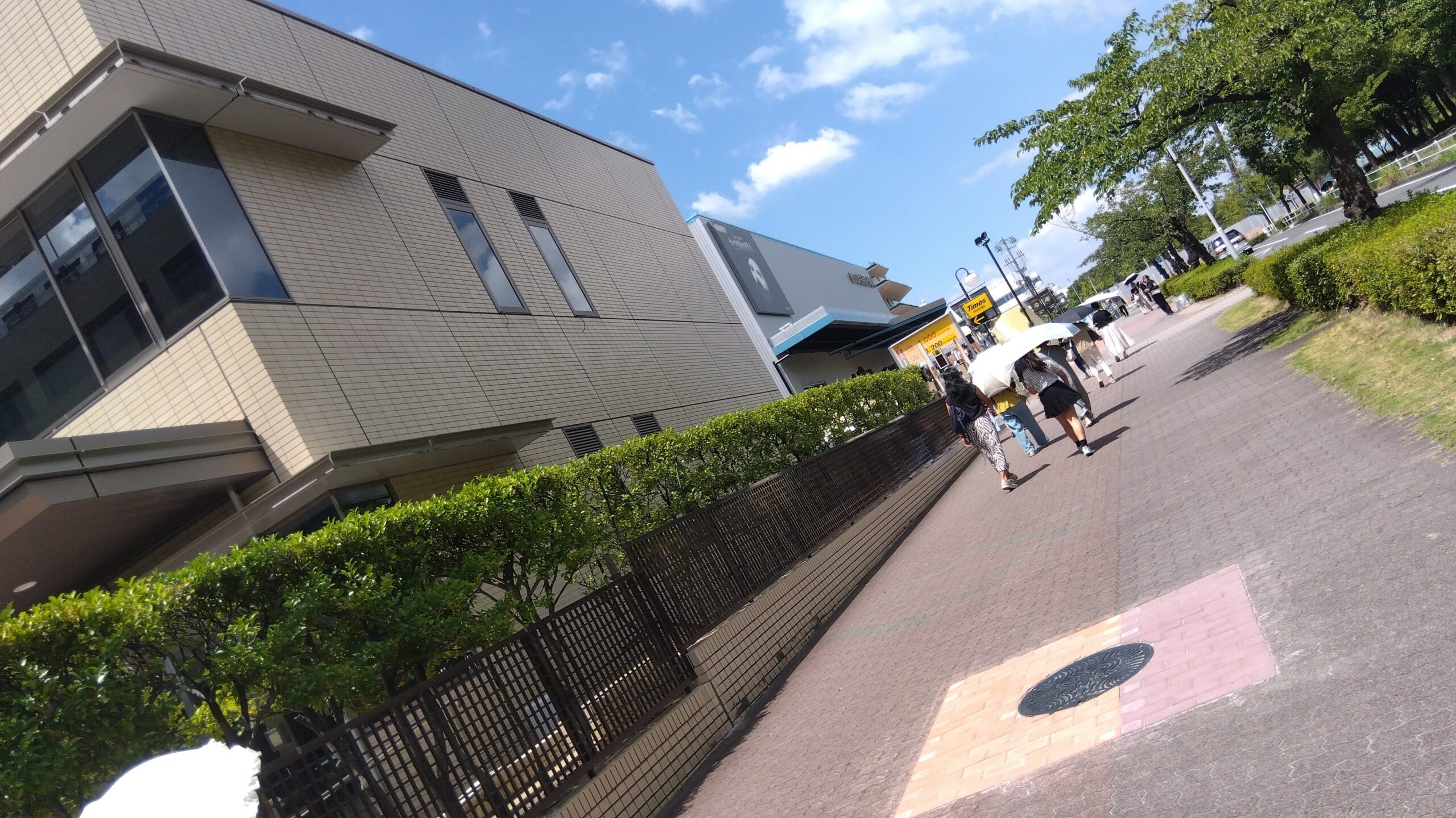 劇場に向かう歩道の様子、街路樹と歩行者