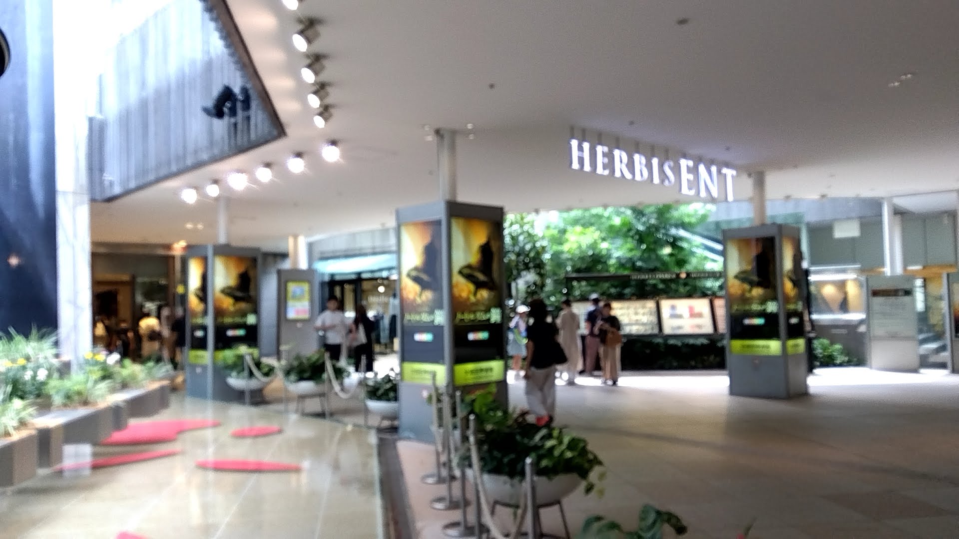 HERBIS ENTの入口、案内サインとロビーの様子